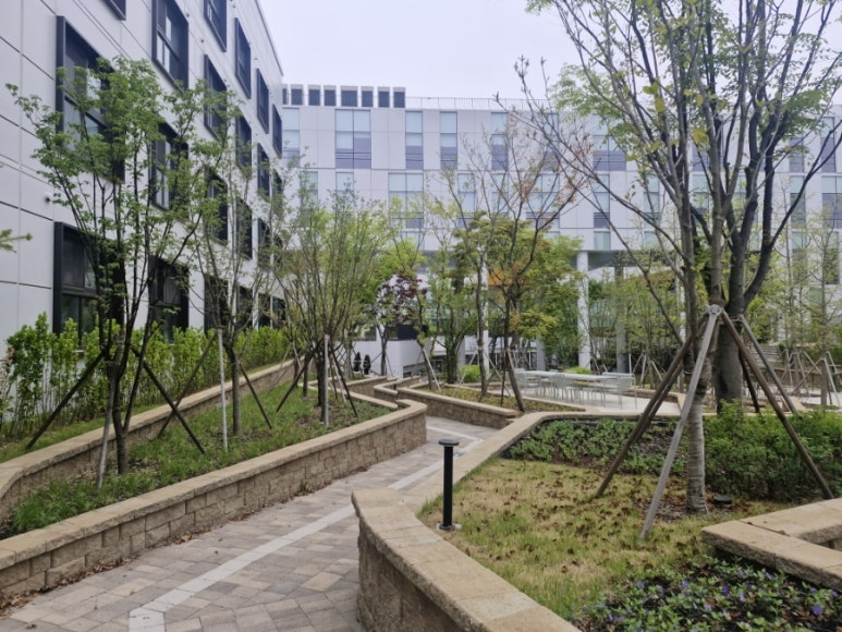 기숙사에서 교육장으로 걸어가며 본 풍경